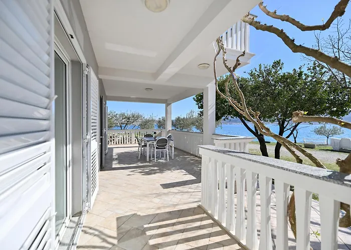 Martom 1 Селине